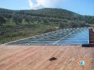 Caport Fotovoltaico Grosseto_13