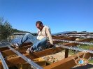 Caport Fotovoltaico Grosseto_25