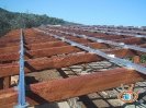 Caport Fotovoltaico Grosseto_3