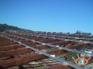 Caport Fotovoltaico Grosseto_5