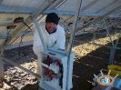 Pannelli In provincia di Livorno 100KW_26