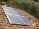 Campagnatico provincia di Grosseto_16