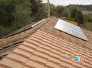 Campagnatico provincia di Grosseto_20