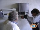 Campagnatico provincia di Grosseto_31