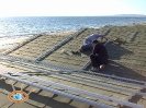 Bagno Nettuno Follonica New Service Group_6