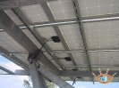 Inseguitore solare NSG Grosseto_11
